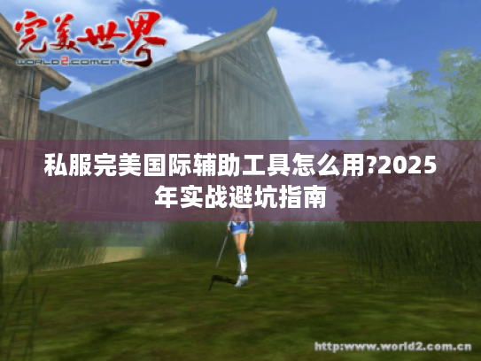 私服完美国际辅助工具怎么用?2025年实战避坑指南 私服完美国际辅助工具怎么用?2025年实战避坑指南