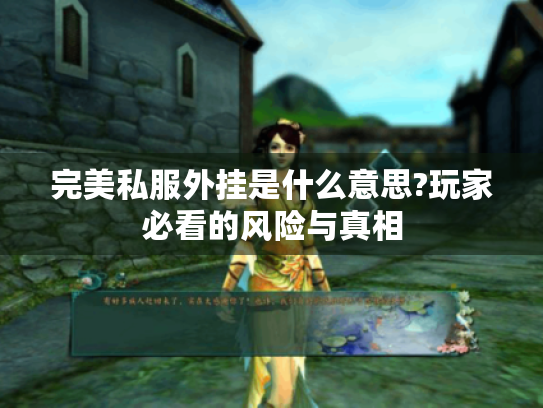 完美私服外挂是什么意思?玩家必看的风险与真相 完美私服外挂是什么意思?玩家必看的风险与真相