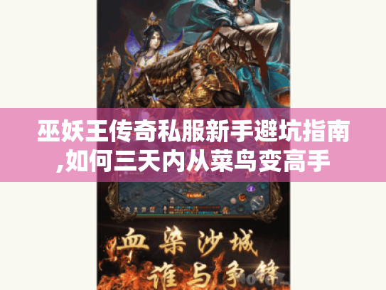 巫妖王传奇私服新手避坑指南,如何三天内从菜鸟变高手