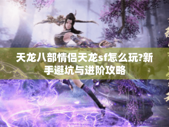 天龙八部情侣天龙sf怎么玩?新手避坑与进阶攻略 天龙八部情侣天龙sf怎么玩?新手避坑与进阶攻略