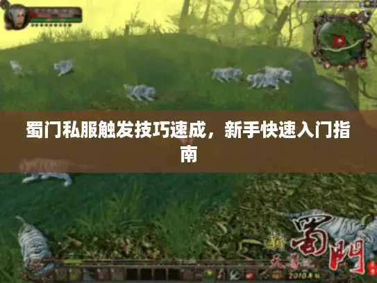 蜀门私服触发技巧速成,新手快速入门指南 蜀门私服触发技巧速成,新手快速入门指南