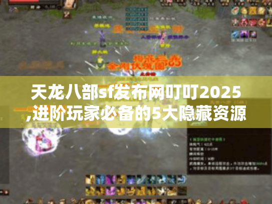 天龙八部sf发布网叮叮2025,进阶玩家必备的5大隐藏资源攻略