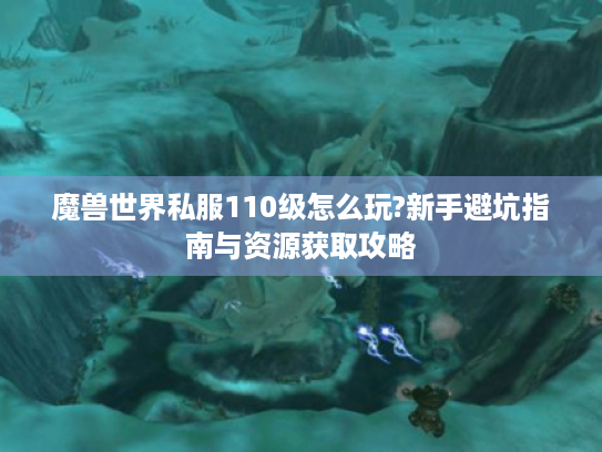 魔兽世界私服110级怎么玩?新手避坑指南与资源获取攻略