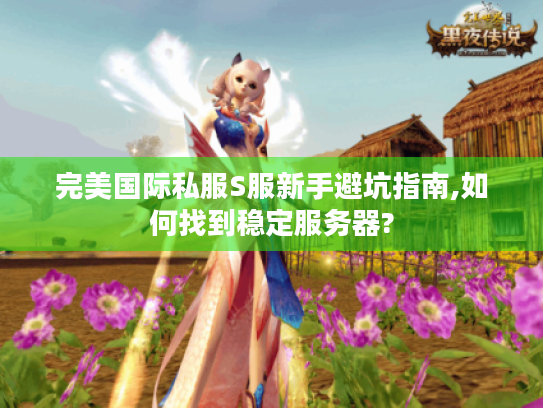 完美国际私服S服新手避坑指南,如何找到稳定服务器?