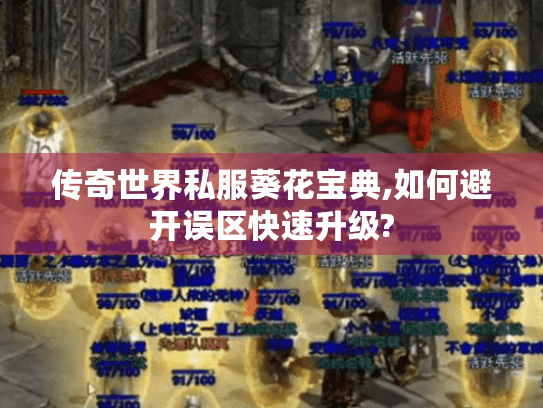 传奇世界私服葵花宝典,如何避开误区快速升级? 传奇世界私服葵花宝典,如何避开误区快速升级?