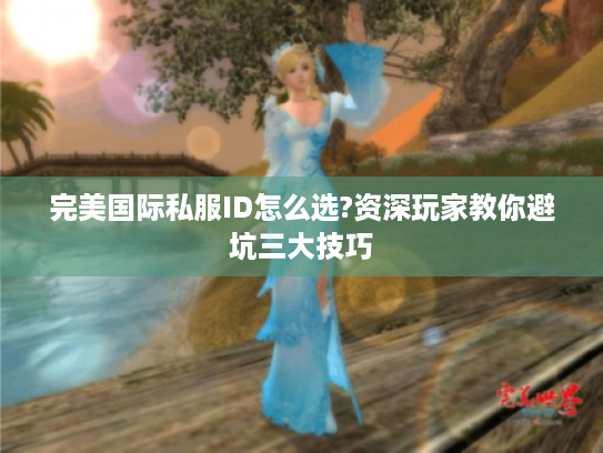 完美国际私服ID怎么选?资深玩家教你避坑三大技巧 完美国际私服ID怎么选?资深玩家教你避坑三大技巧