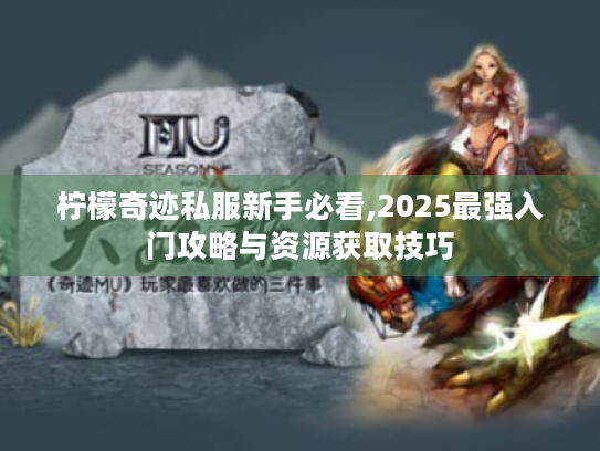 柠檬奇迹私服新手必看,2025最强入门攻略与资源获取技巧