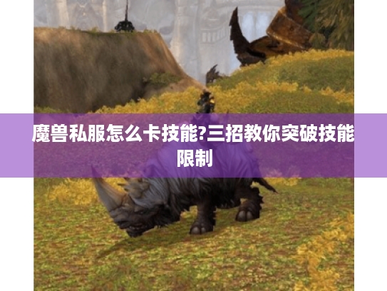魔兽私服怎么卡技能?三招教你突破技能限制