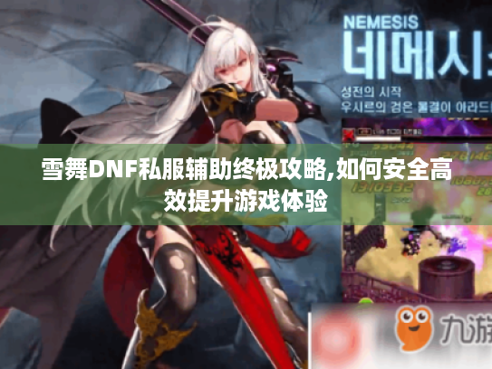 雪舞DNF私服辅助终极攻略,如何安全高效提升游戏体验 雪舞DNF私服辅助终极攻略,如何安全高效提升游戏体验