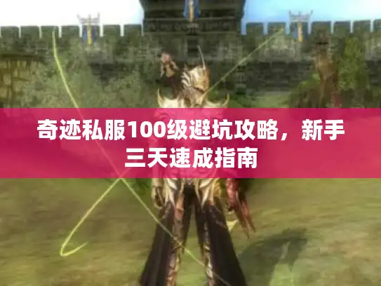 奇迹私服100级避坑攻略，新手三天速成指南
