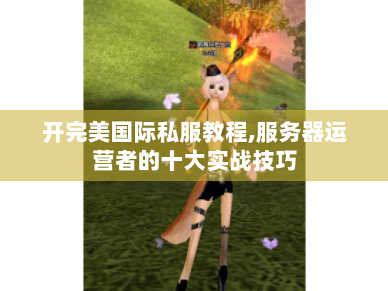 开完美国际私服教程,服务器运营者的十大实战技巧