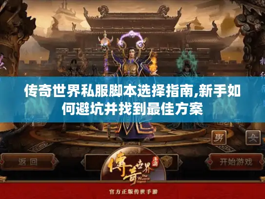 传奇世界私服脚本选择指南,新手如何避坑并找到最佳方案