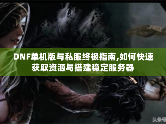 DNF单机版与私服终极指南,如何快速获取资源与搭建稳定服务器 DNF单机版与私服终极指南,如何快速获取资源与搭建稳定服务器