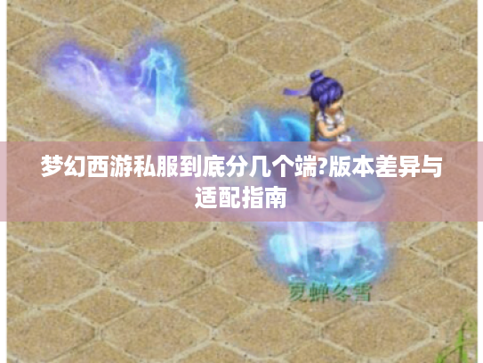 梦幻西游私服到底分几个端?版本差异与适配指南