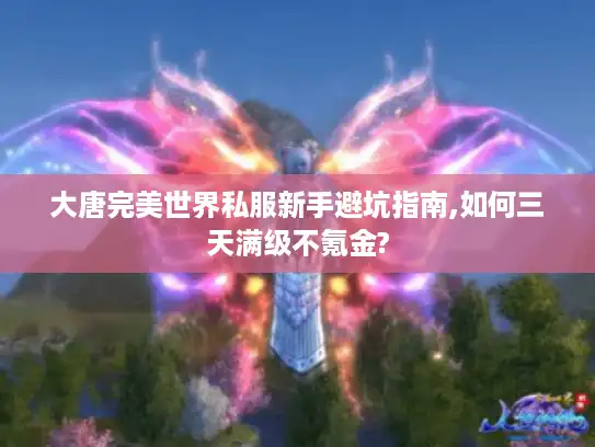 大唐完美世界私服新手避坑指南,如何三天满级不氪金?