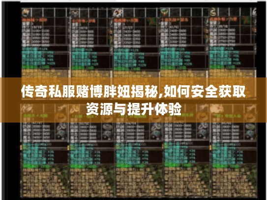 传奇私服赌博胖妞揭秘,如何安全获取资源与提升体验 传奇私服赌博胖妞揭秘,如何安全获取资源与提升体验