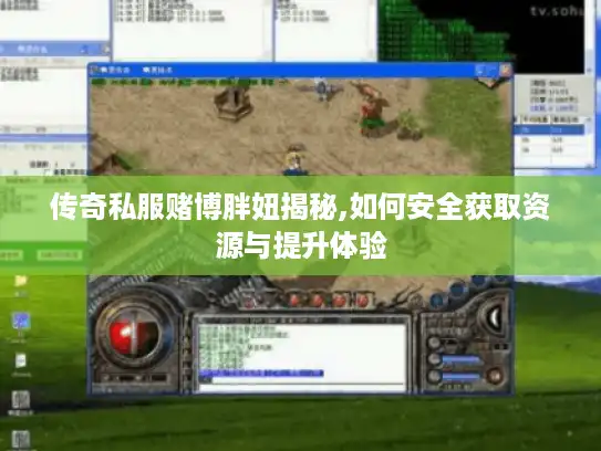 传奇私服赌博胖妞揭秘,如何安全获取资源与提升体验