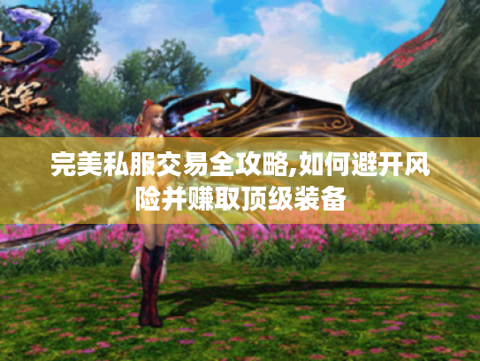 完美私服交易全攻略,如何避开风险并赚取顶级装备 完美私服交易全攻略,如何避开风险并赚取顶级装备