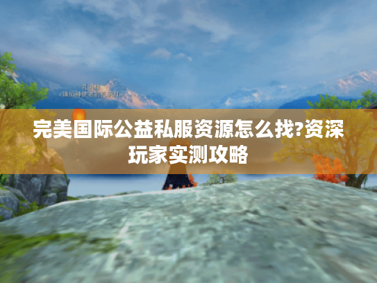 完美国际公益私服资源怎么找?资深玩家实测攻略