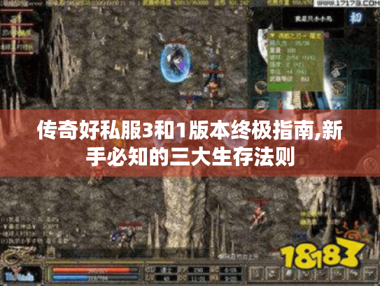 传奇好私服3和1版本终极指南,新手必知的三大生存法则 传奇好私服3和1版本终极指南,新手必知的三大生存法则