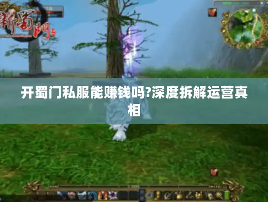 开蜀门私服能赚钱吗?深度拆解运营真相