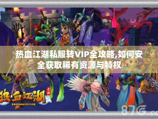 热血江湖私服转VIP全攻略,如何安全获取稀有资源与特权