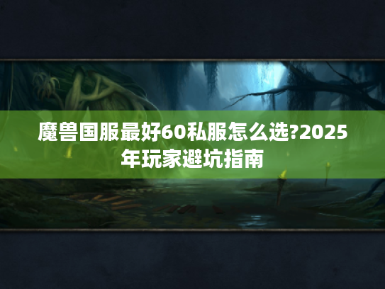 魔兽国服最好60私服怎么选?2025年玩家避坑指南