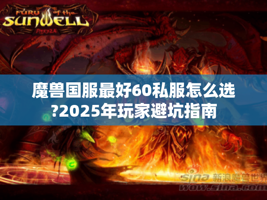 魔兽国服最好60私服怎么选?2025年玩家避坑指南