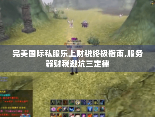 完美国际私服乐上财税终极指南,服务器财税避坑三定律