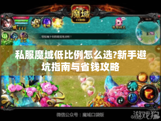 私服魔域低比例怎么选?新手避坑指南与省钱攻略 私服魔域低比例怎么选?新手避坑指南与省钱攻略