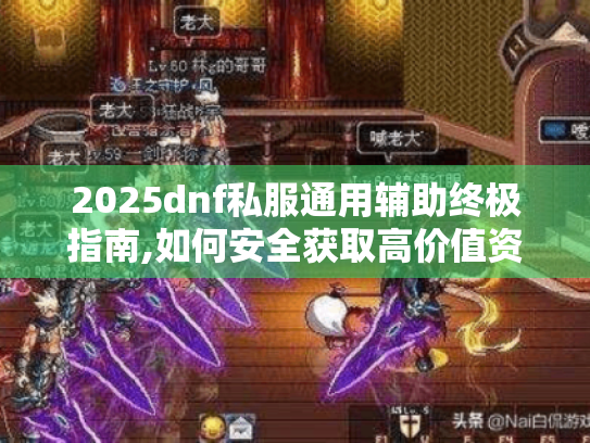 2025dnf私服通用辅助终极指南,如何安全获取高价值资源?
