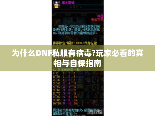 为什么DNF私服有病毒?玩家必看的真相与自保指南 为什么DNF私服有病毒?玩家必看的真相与自保指南