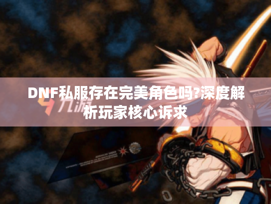DNF私服存在完美角色吗?深度解析玩家核心诉求