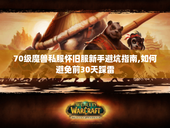 70级魔兽私服怀旧服新手避坑指南,如何避免前30天踩雷