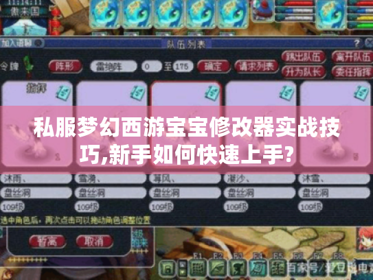私服梦幻西游宝宝修改器实战技巧,新手如何快速上手? 私服梦幻西游宝宝修改器实战技巧,新手如何快速上手?