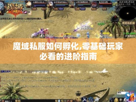 魔域私服如何孵化,零基础玩家必看的进阶指南 魔域私服如何孵化,零基础玩家必看的进阶指南