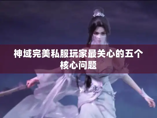 神域完美私服玩家最关心的五个核心问题