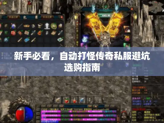 新手必看,自动打怪传奇私服避坑选购指南 新手必看,自动打怪传奇私服避坑选购指南