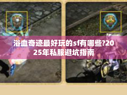 浴血奇迹最好玩的sf有哪些?2025年私服避坑指南 浴血奇迹最好玩的sf有哪些?2025年私服避坑指南