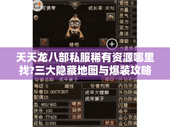 天天龙八部私服稀有资源哪里找?三大隐藏地图与爆装攻略揭秘 天天龙八部私服稀有资源哪里找?三大隐藏地图与爆装攻略揭秘