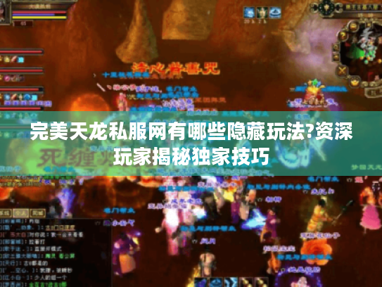 完美天龙私服网有哪些隐藏玩法?资深玩家揭秘独家技巧 完美天龙私服网有哪些隐藏玩法?资深玩家揭秘独家技巧