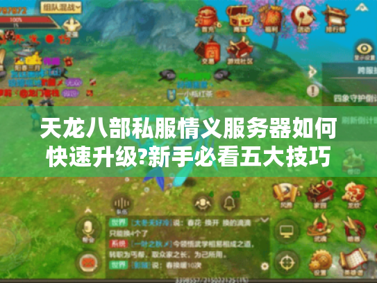天龙八部私服情义服务器如何快速升级?新手必看五大技巧