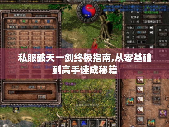 私服破天一剑终极指南,从零基础到高手速成秘籍