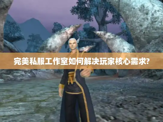 完美私服工作室如何解决玩家核心需求? 完美私服工作室如何解决玩家核心需求?
