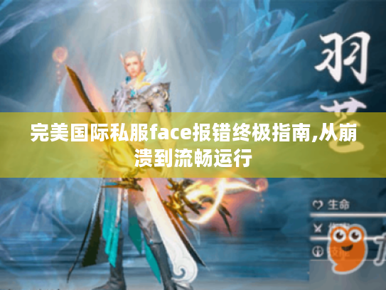 完美国际私服face报错终极指南,从崩溃到流畅运行 完美国际私服face报错终极指南,从崩溃到流畅运行