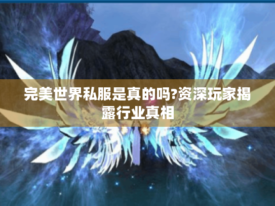 完美世界私服是真的吗?资深玩家揭露行业真相