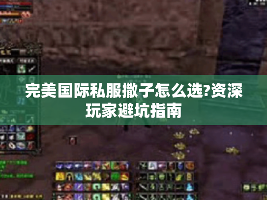 完美国际私服撒子怎么选?资深玩家避坑指南 完美国际私服撒子怎么选?资深玩家避坑指南