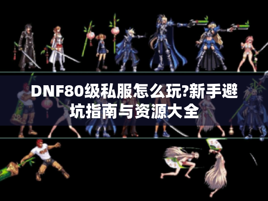 DNF80级私服怎么玩?新手避坑指南与资源大全