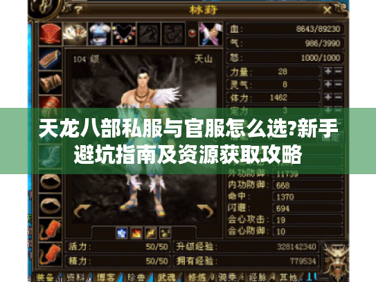 天龙八部私服与官服怎么选?新手避坑指南及资源获取攻略