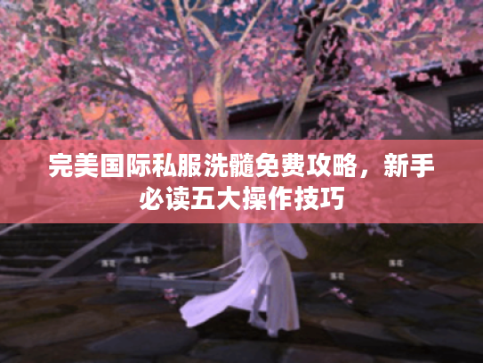 完美国际私服洗髓免费攻略，新手必读五大操作技巧